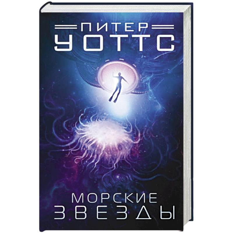Морские звезды Морские звезды