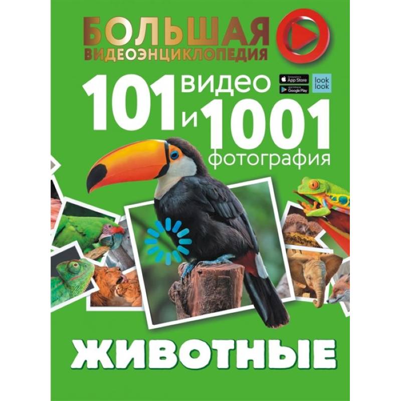 Животные. 101 видео и 1001 фотография Животные. 101 видео и 1001 фотография
