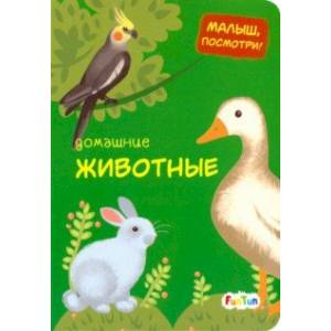 Домашние животные Домашние животные