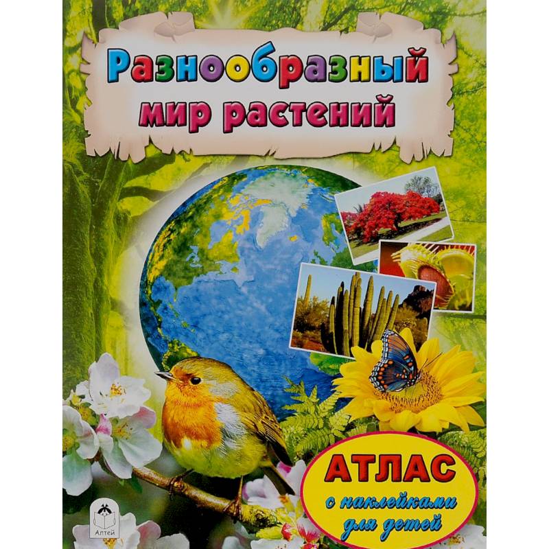Разнообразный мир растений Разнообразный мир растений