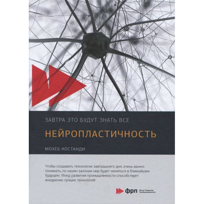 Нейропластичность Нейропластичность