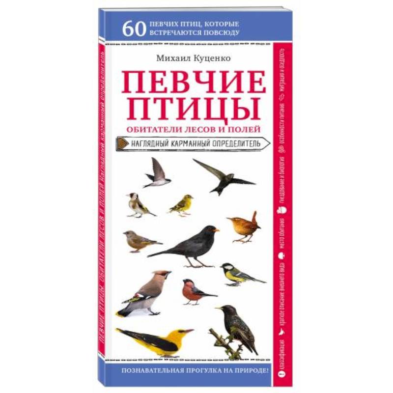 Певчие птицы. Обитатели лесов и полей Певчие птицы. Обитатели лесов и полей