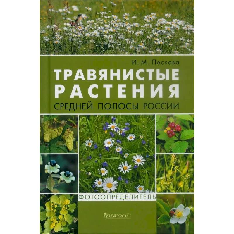 Травянистые растения средней полосы России. Фотоопределитель Травянистые растения средней полосы России. Фотоопределитель