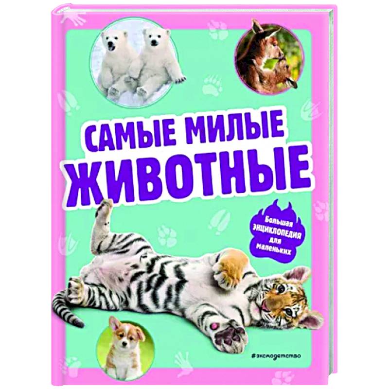 Самые милые животные. Большая энциклопедия для маленьких Самые милые животные. Большая энциклопедия для маленьких