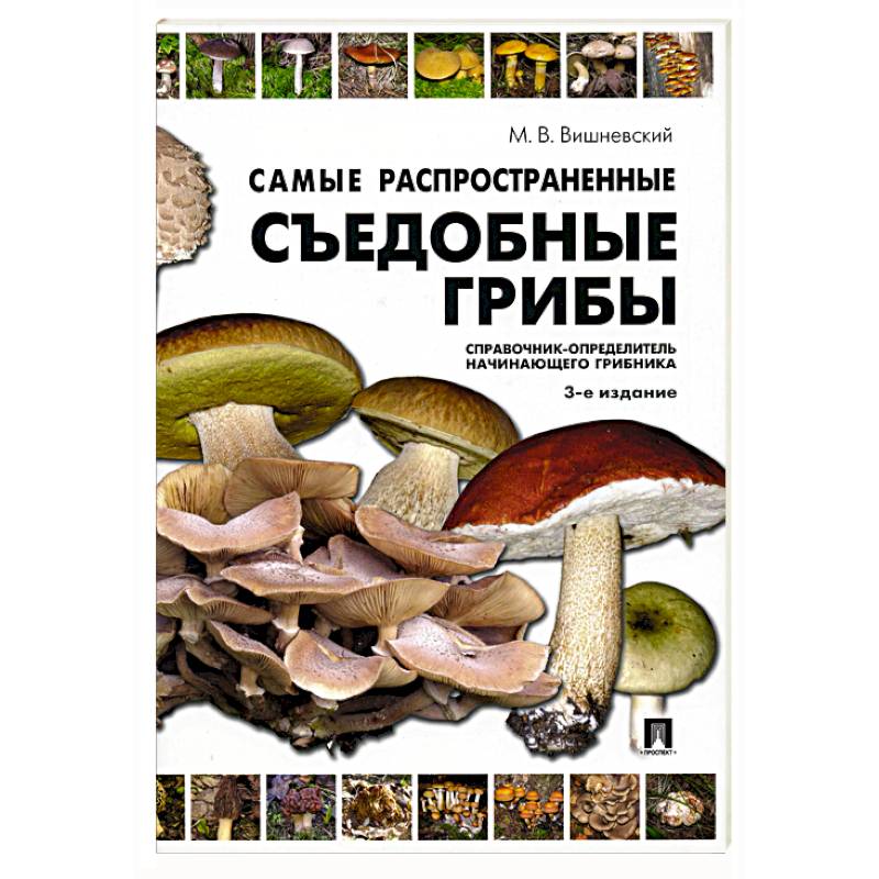 Самые распространенные съедобные грибы. Справочник-определитель начинающего грибника Самые распространенные съедобные грибы. Справочник-определитель начинающего грибника