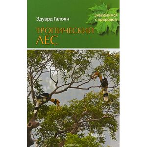 Тропический лес Тропический лес