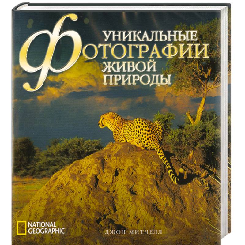 Уникальные фотографии живой природы Уникальные фотографии живой природы