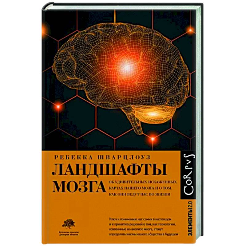 Ландшафты мозга Ландшафты мозга