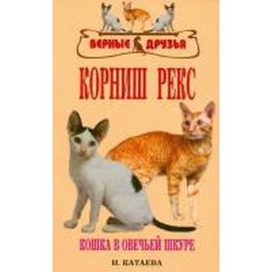 Корниш рекс. Кошка в овечьей шкуре Корниш рекс. Кошка в овечьей шкуре