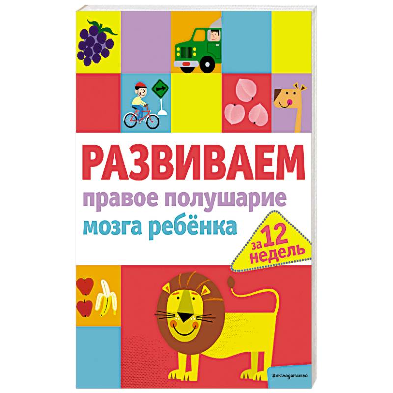 Развиваем правое полушарие мозга ребенка за 12 недель Развиваем правое полушарие мозга ребенка за 12 недель