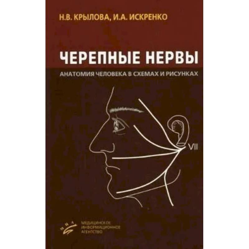 Черепные нервы. Анатомия человека в схемах и рисунках.  Атлас-пособие Черепные нервы. Анатомия человека в схемах и рисунках.  Атлас-пособие