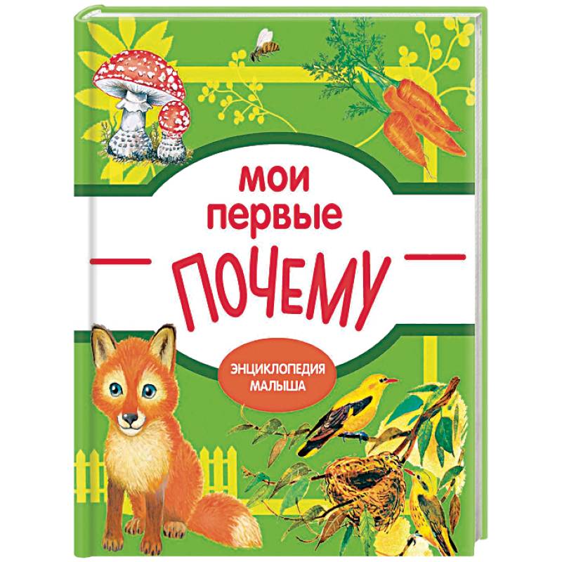 Мои первые ПОЧЕМУ? Мои первые ПОЧЕМУ?