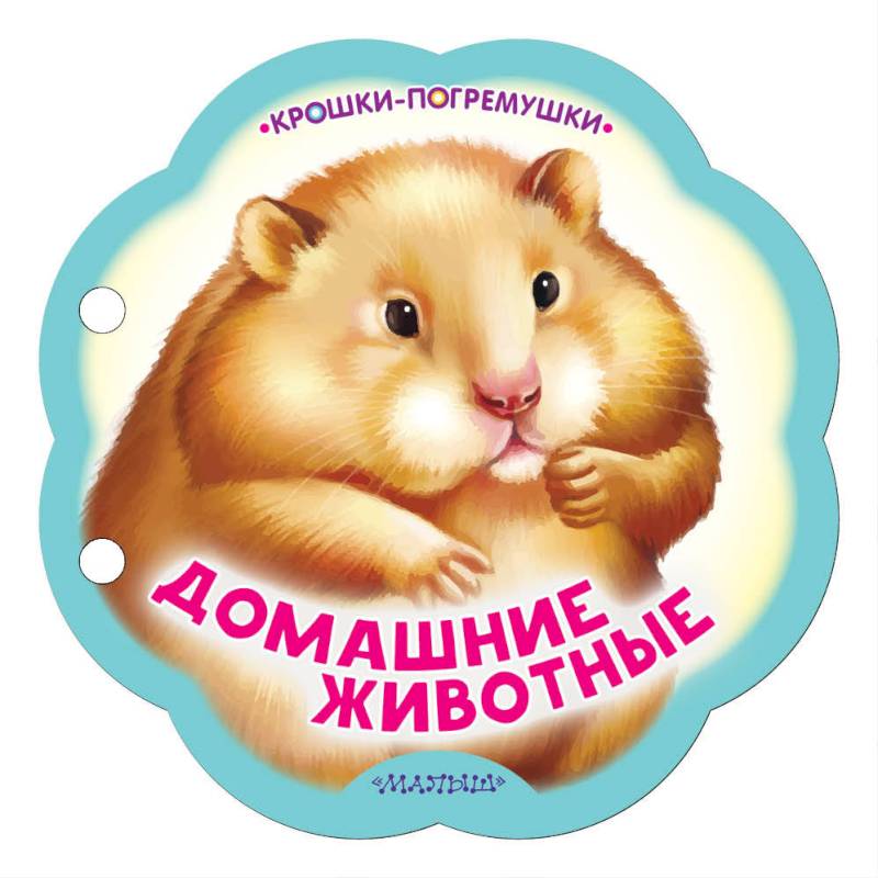 Домашние животные Домашние животные