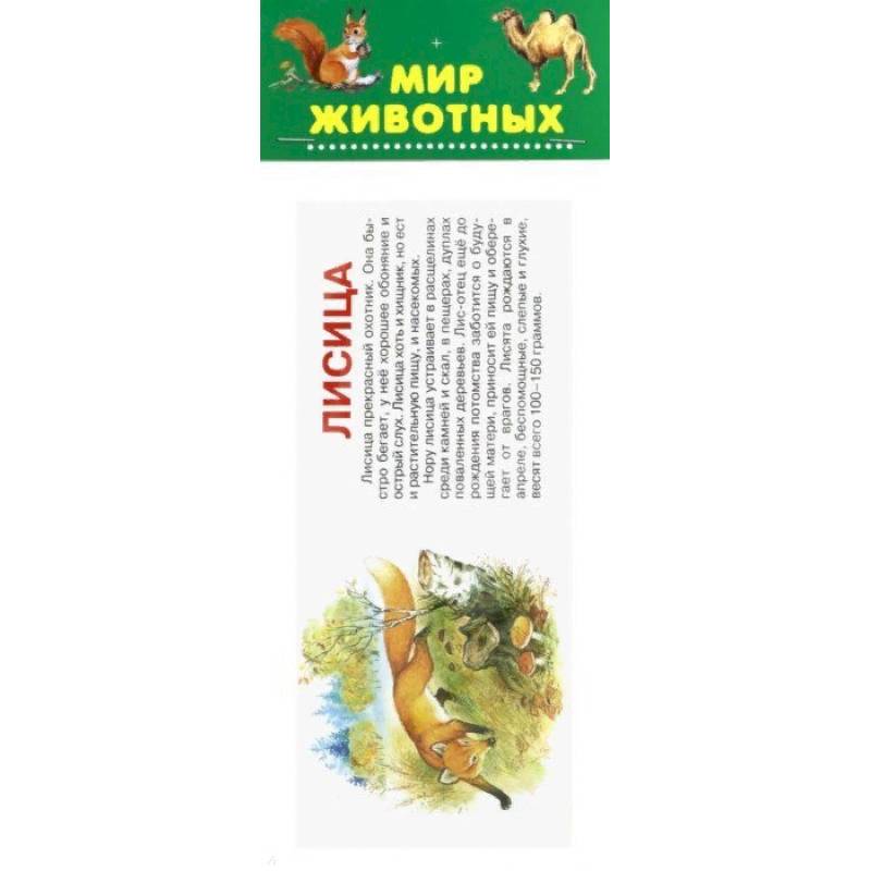 Мир животных. Набор карточек Мир животных. Набор карточек