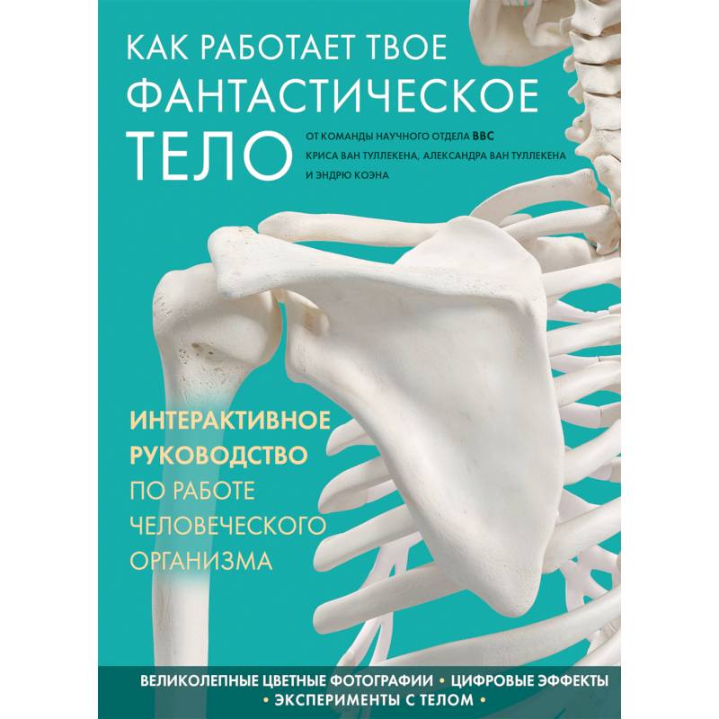 Как работает твое фантастическое тело Как работает твое фантастическое тело