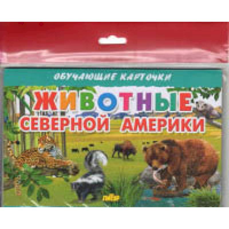 Животные Северной Америки Животные Северной Америки