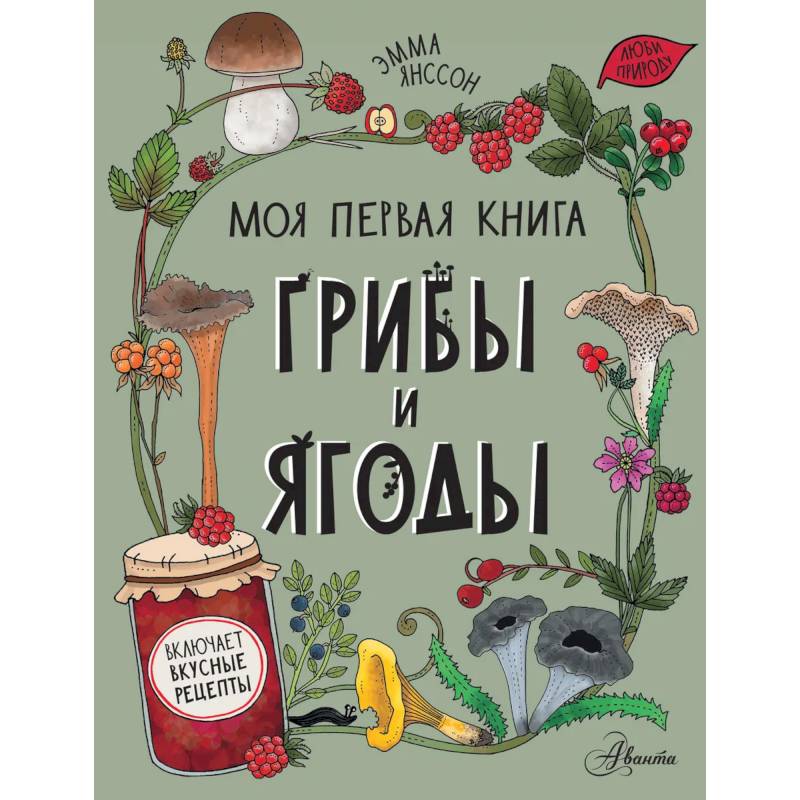 Грибы и ягоды Грибы и ягоды