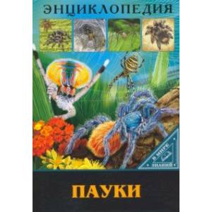 Энциклопедия. Пауки Энциклопедия. Пауки