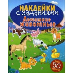 Домашние животные Домашние животные