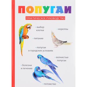 Попугаи Попугаи