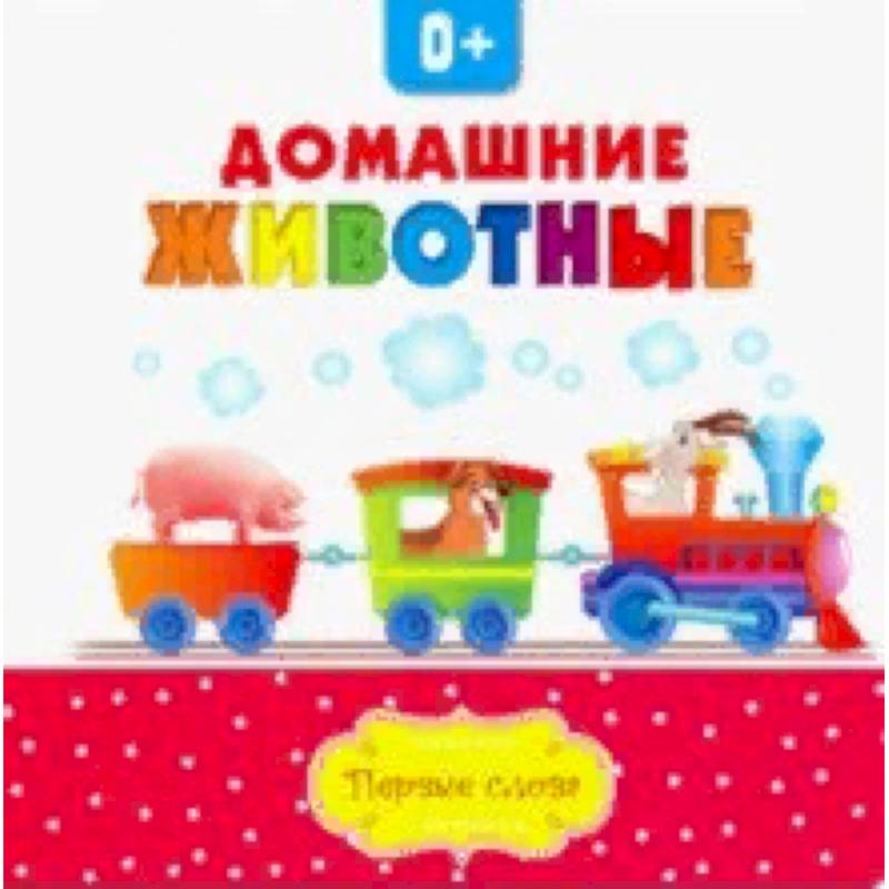 Домашние животные Домашние животные