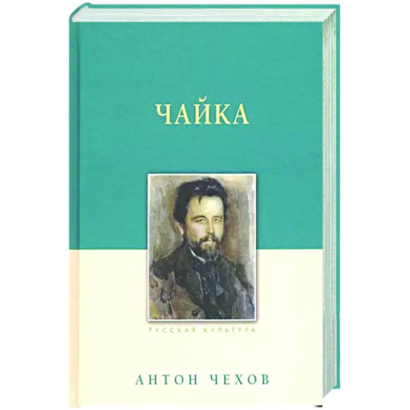 Чайка Чайка