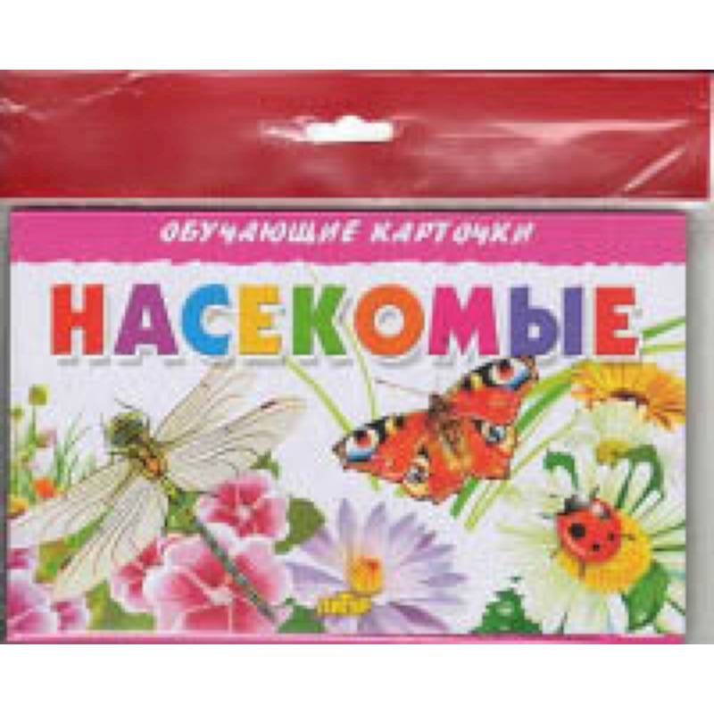 Насекомые Насекомые