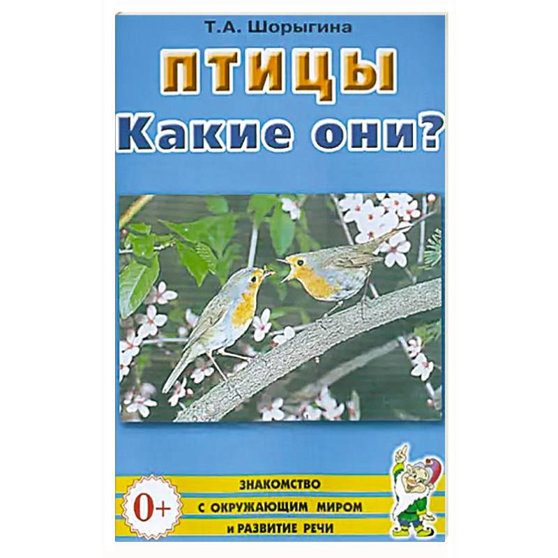Птицы. Какие они? Птицы. Какие они?