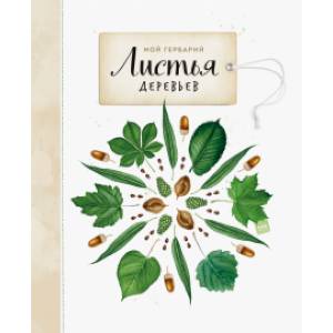 Мой гербарий. Листья деревьев Мой гербарий. Листья деревьев