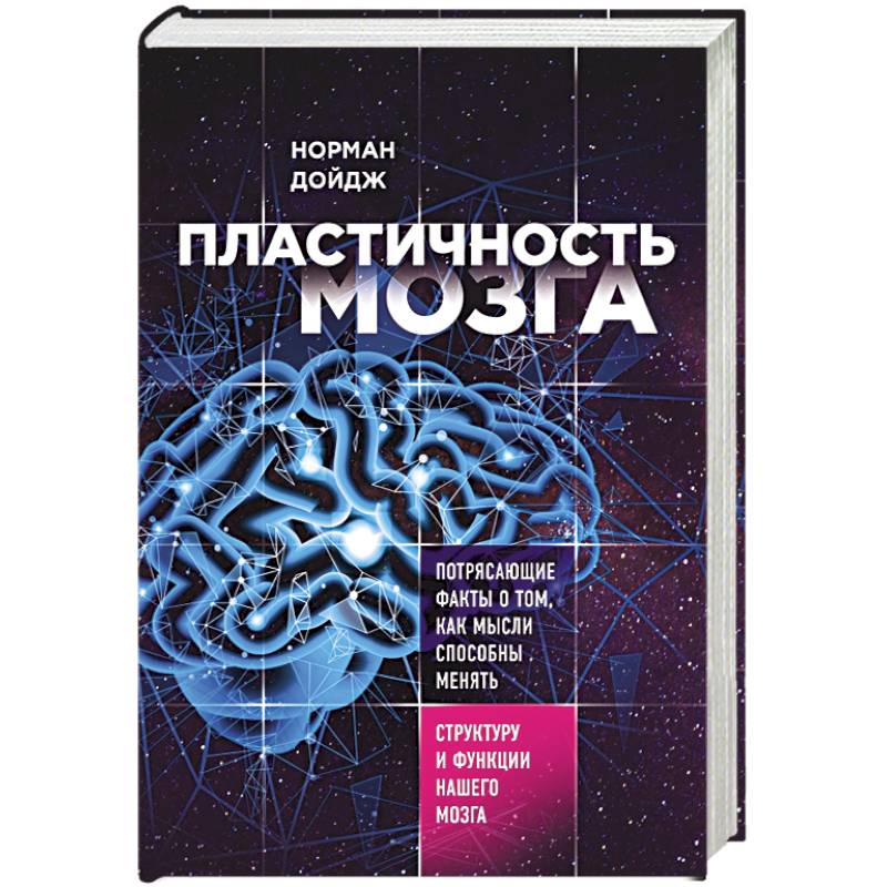 Пластичность мозга. Потрясающие факты о том, как мысли способны менять структуру нашего мозга Пластичность мозга. Потрясающие факты о том, как мысли способны менять структуру нашего мозга