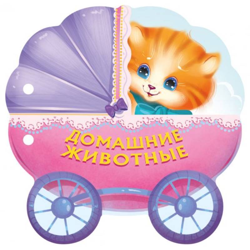 Домашние животные Домашние животные