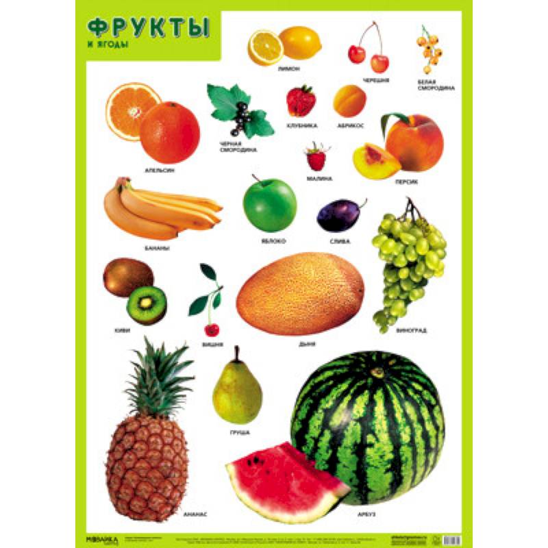 Фрукты и ягоды . Развивающие плакаты Фрукты и ягоды . Развивающие плакаты