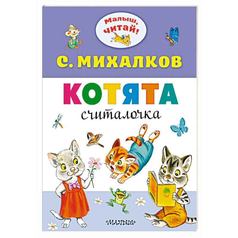 Котята Котята