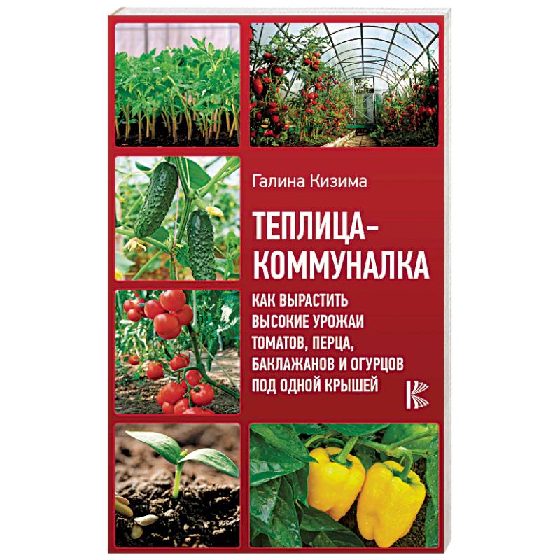 Теплица-коммуналка. Как вырастить высокие урожаи томатов, перца, баклажанов и огурцов под одной крыш