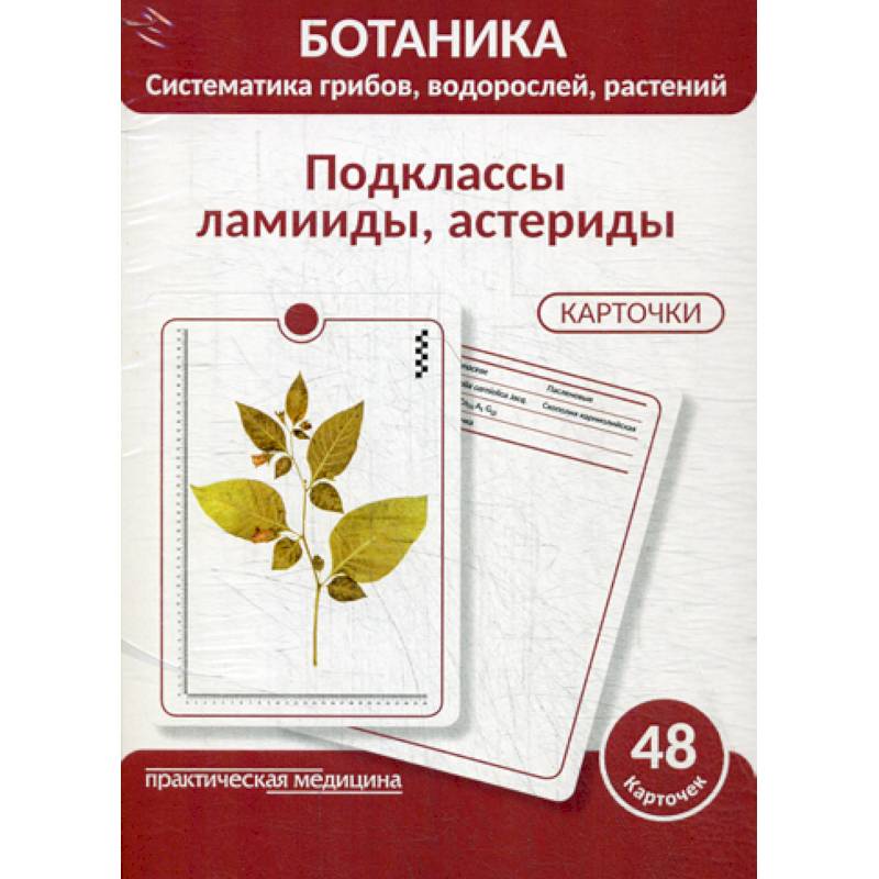 Ботаника. Систематика грибов, водорослей, растений. Подклассы ламииды, астериды Ботаника. Систематика грибов, водорослей, растений. Подклассы ламииды, астериды