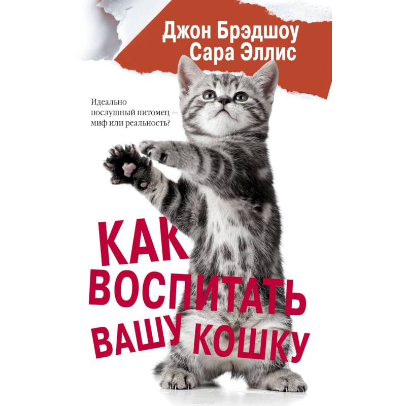 Как воспитать вашу кошку Как воспитать вашу кошку
