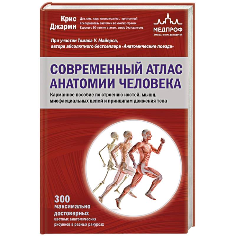Современный атлас анатомии человека. Карманное пособие по строению костей, мышц, миофасциальных цепей и принципам движения тела Современный атлас анатомии человека. Карманное пособие по строению костей, мышц, миофасциальных цепей и принципам движения тела