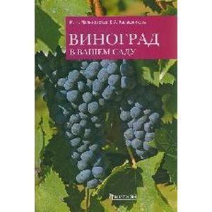 Виноград в вашем саду Виноград в вашем саду