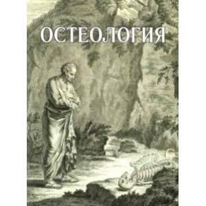 Остеология. Учебное пособие Остеология. Учебное пособие