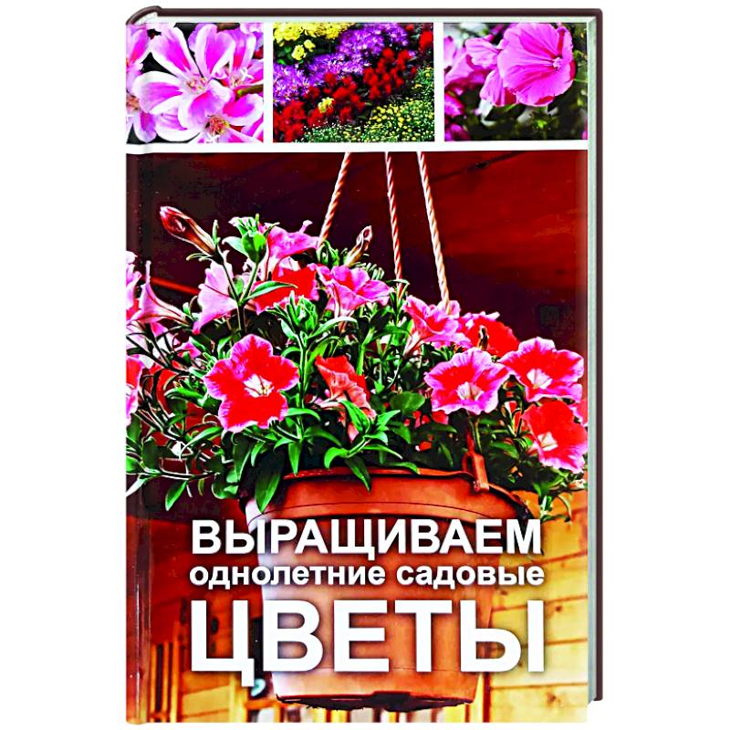 Выращиваем однолетние садовые цветы Выращиваем однолетние садовые цветы