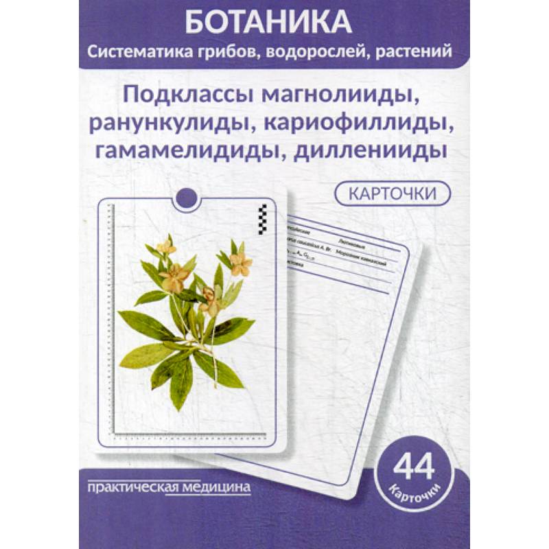 Ботаника. Систематика грибов, водорослей, растений. Подклассы магнолииды, ранункулиды, кариофиллиды, гамамелидиды, дилленииды Ботаника. Систематика грибов, водорослей, растений. Подклассы магнолииды, ранункулиды, кариофиллиды, гамамелидиды, дилленииды