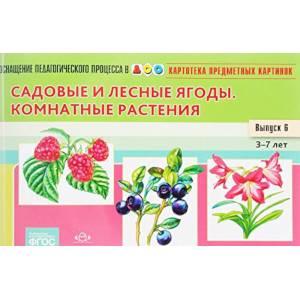 Картотека предметных картинок. Наглядный дидактический материал. Выпуск № 6. Садовые и лесные ягоды Картотека предметных картинок. Наглядный дидактический материал. Выпуск № 6. Садовые и лесные ягоды