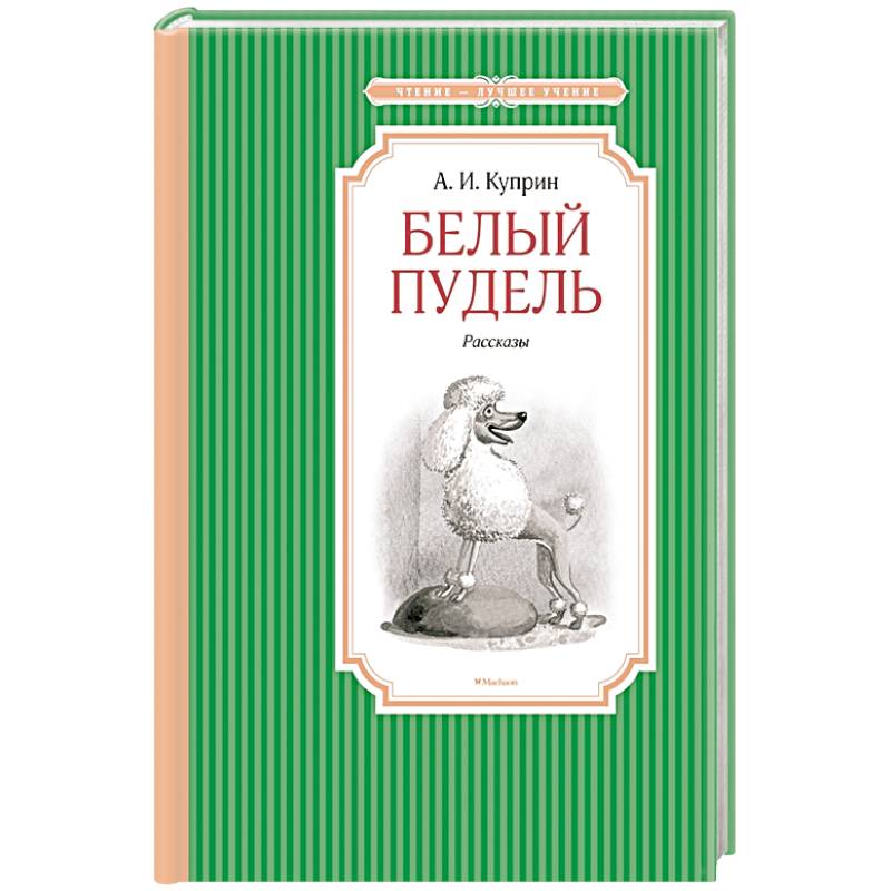 Белый пудель Белый пудель