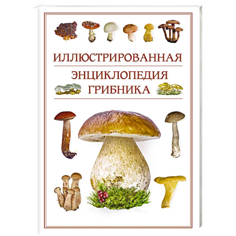 Иллюстрированная энциклопедия грибника. Иллюстрированная энциклопедия грибника.