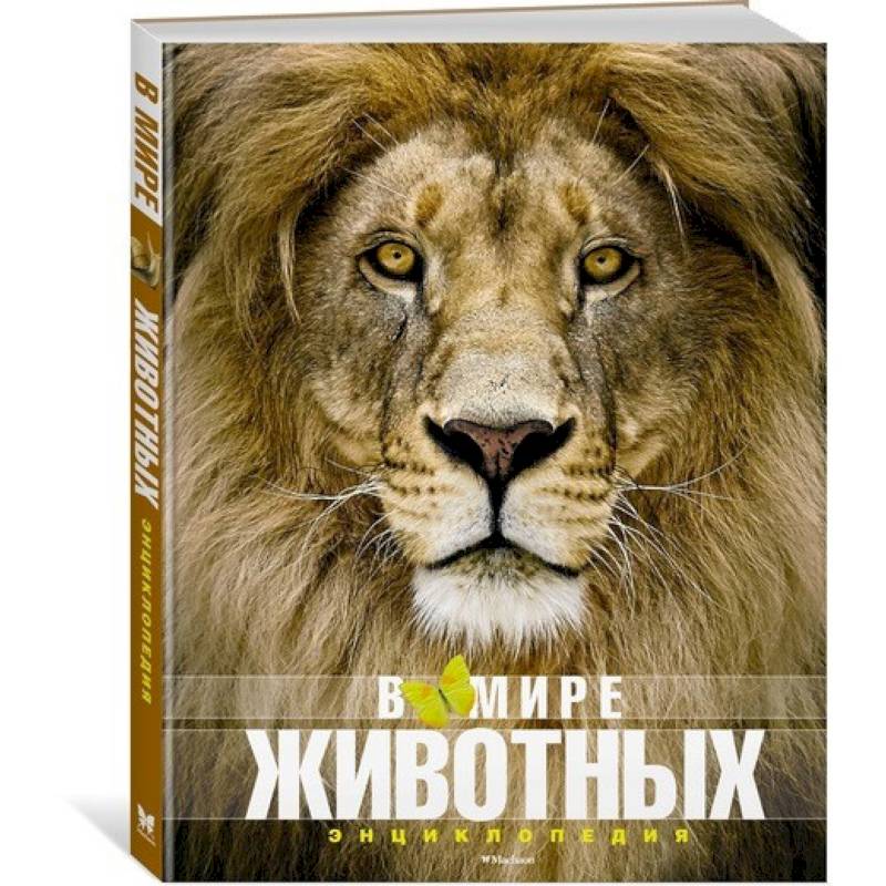 В мире животных В мире животных