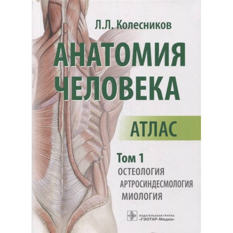 Анатомия человека. Атлас. Том 1: Остеология Анатомия человека. Атлас. Том 1: Остеология