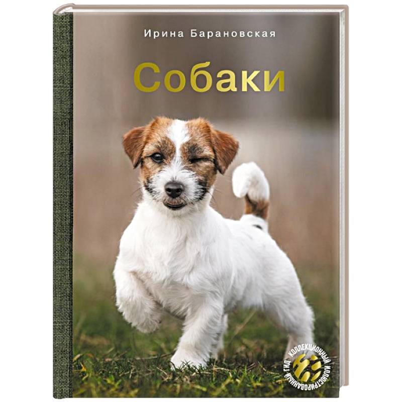 Собаки Собаки