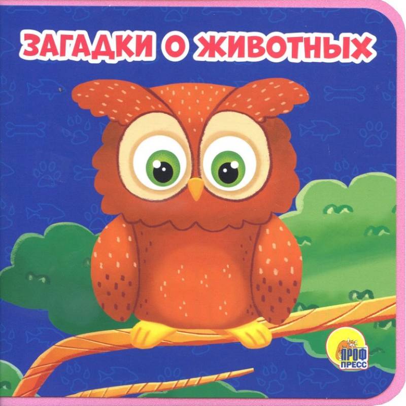 Загадки о животных Загадки о животных