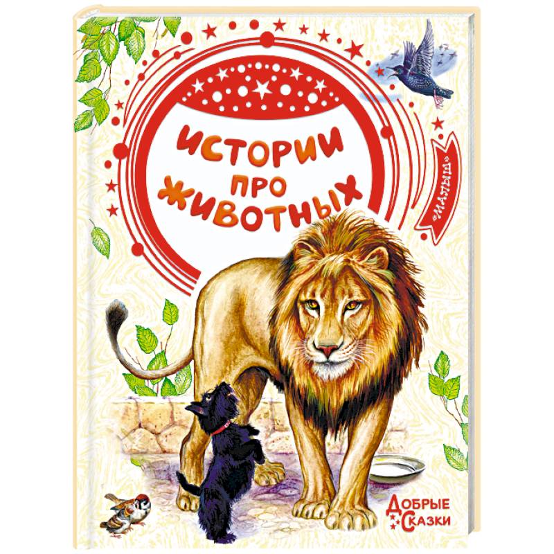 Истории про животных Истории про животных