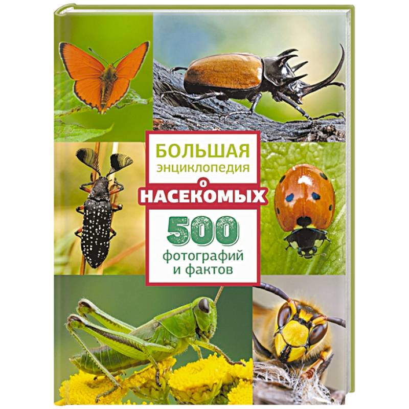 Большая энциклопедия о насекомых. 500 фотографий и фактов Большая энциклопедия о насекомых. 500 фотографий и фактов